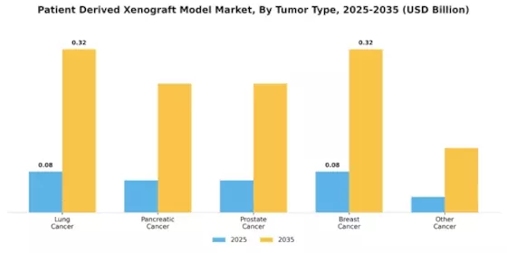 Patient Derived Xenograft Model Market Segment Image 0