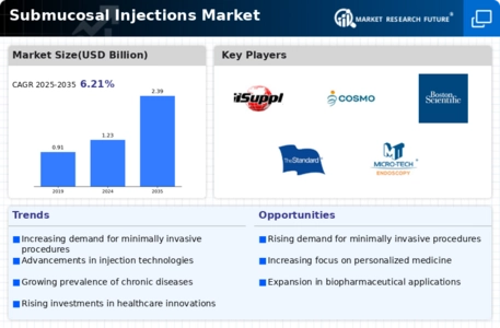 Submucosal Injections Market Infographic
