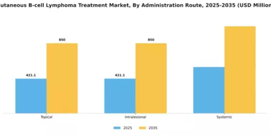 Cutaneous B-cell Lymphoma Treatment Market Segment Image 0