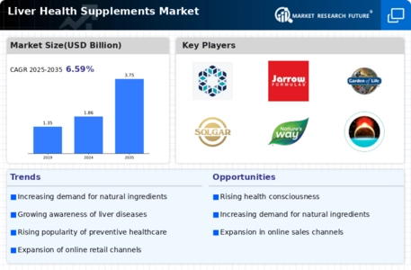 Liver Health Supplements Market Infographic