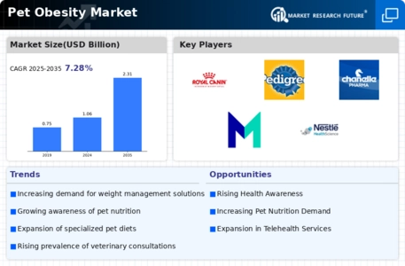 Pet Obesity Market Infographic