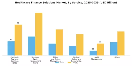 Healthcare Finance Solutions Market Segment Image 0