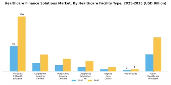 Healthcare Finance Solutions Market Segment Image 1