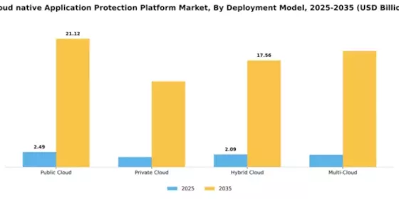Cloud-native Application Protection Platform (CNAPP) Market Segment Image 0