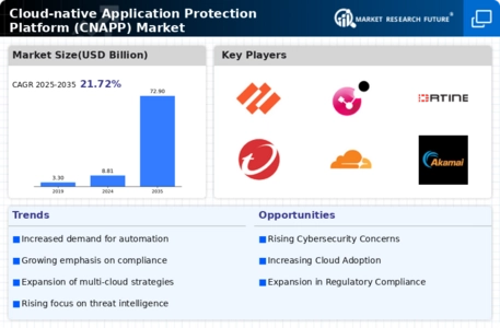 Cloud native Application Protection Platform CNAPP Market Infographic