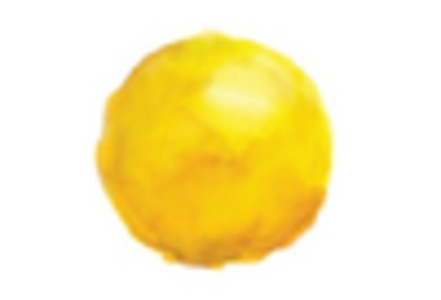 Suture wire Market key player