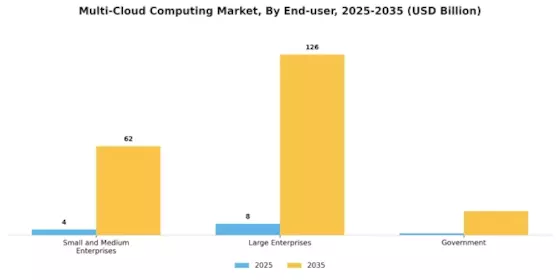 Multi Cloud Computing Market Segment Image 3