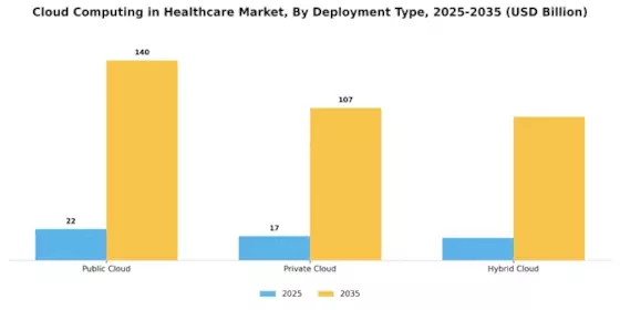 Cloud Computing in Healthcare Market Segment Image 1