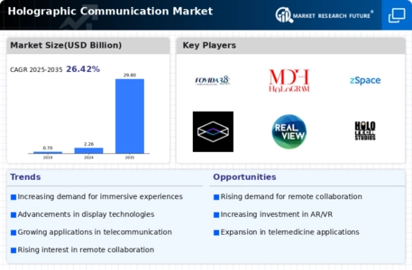 Holographic Communication Market Infographic
