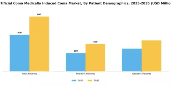 Artificial Coma Medically Induced Coma Market Segment Image 3