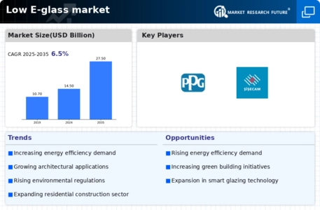 Low E Glass Market Infographic