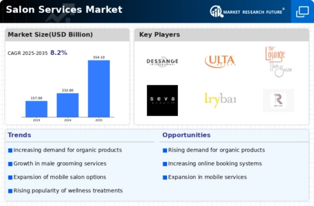 Salon Services Market Infographic
