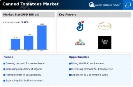 Canned Tomatoes Market Infographic