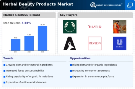 Herbal Beauty Products Market Infographic