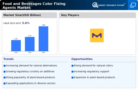 Food and Beverages Color Fixing Agents Market Infographic