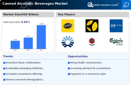 Canned Alcoholic Beverages Market Infographic
