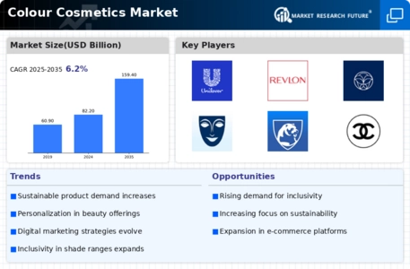 Colour Cosmetics Market Infographic