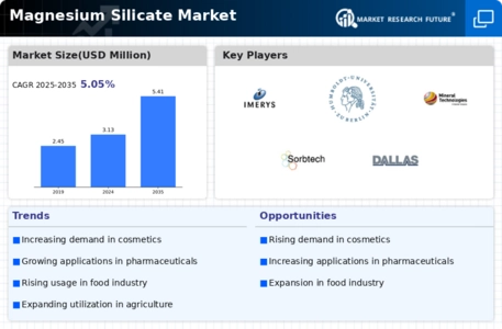 Magnesium Silicate Market Infographic