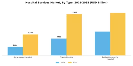 Hospital Services Market Segment Image 0