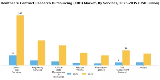 Healthcare Contract Research Outsourcing Market Segment Image 1