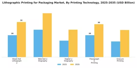 Lithographic Printing for Packaging Market Segment Image 3