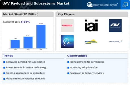 UAV Payload Subsystems Market Infographic