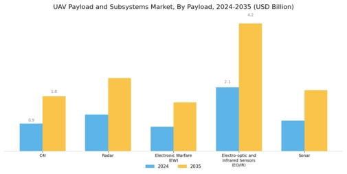 UAV Payload Subsystems Market Segment Image 0