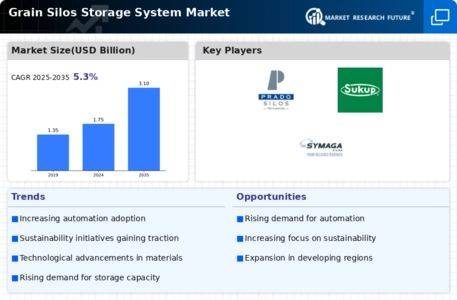 Grain Silos Storage System Market Infographic
