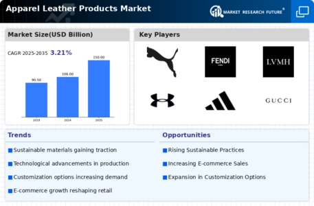 Apparel Leather Products Market Infographic