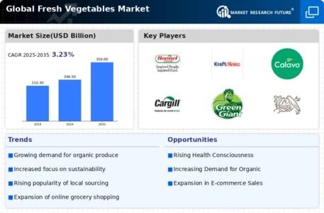 Fresh Vegetables Market Infographic