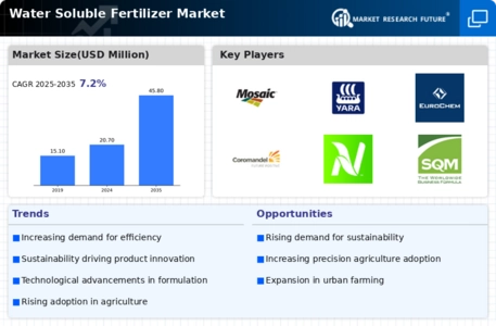 Water Soluble Fertilizer Market Infographic