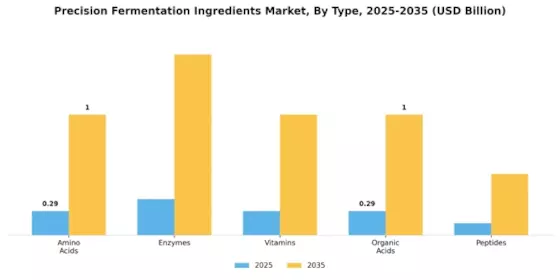 Precision Fermentation Ingredients Market Segment Image 3