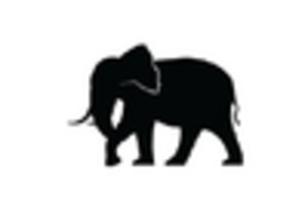 Vegan Chocolate Market key player