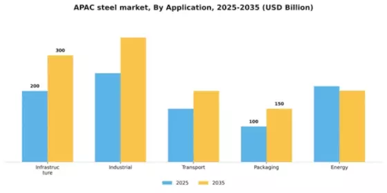 APAC Steel Market Segment Image 0