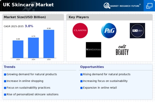 UK Skincare Market Infographic