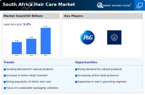 South Africa Hair Care Market Infographic