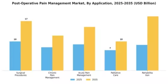 Postoperative Pain Management Market Segment Image 0