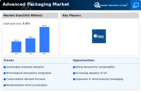 Advanced Packaging Market Infographic
