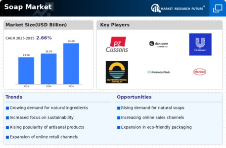 Soap Market Infographic