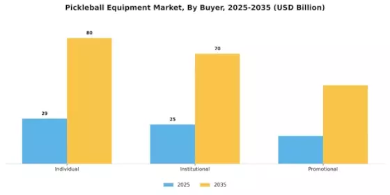 Pickleball Equipment Market Segment Image 2