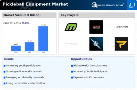 Pickleball Equipment Market Infographic