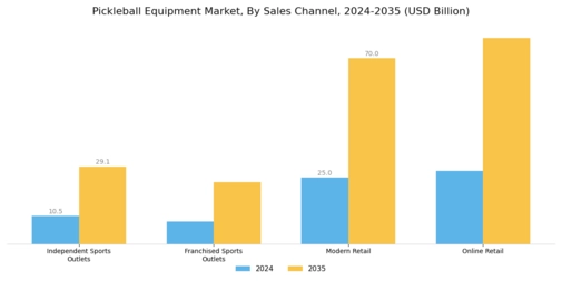 Pickleball Equipment Market Segment Image 1