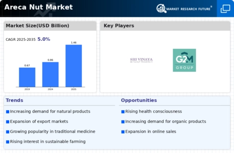 Areca Nut Market Infographic