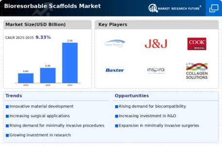 Bioresorbable Scaffolds Market Infographic