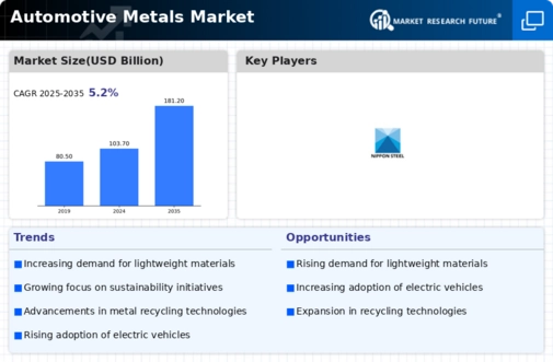 Automotive Metals Market Infographic
