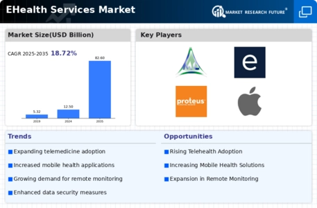 E-Health Services Market Infographic