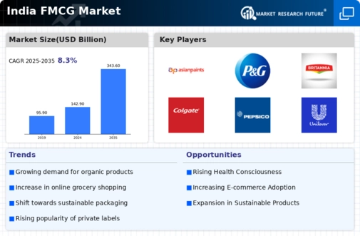 India FMCG Market Infographic