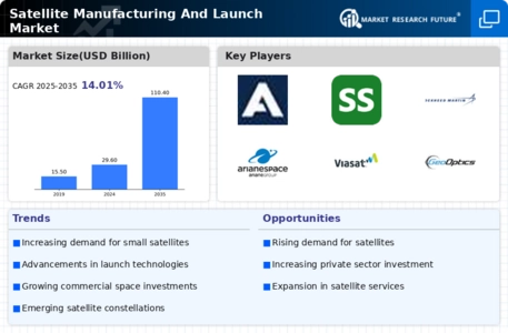 Satellite Manufacturing Launch Market Infographic