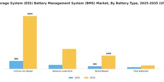 Energy Storage System ESS Battery Management System BMS Market Segment Image 0