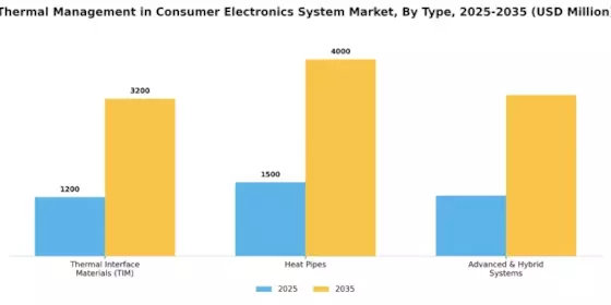 Thermal Management in Consumer Electronics System Market Segment Image 0